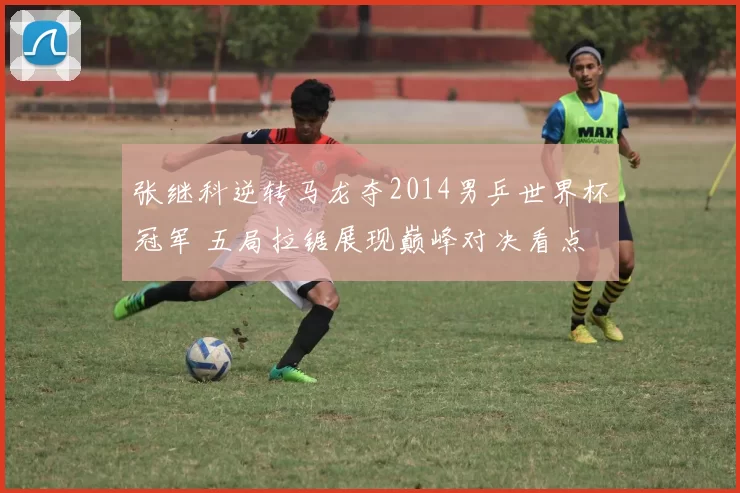 张继科逆转马龙夺2014男乒世界杯冠军 五局拉锯展现巅峰对决看点