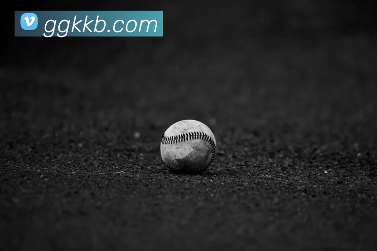 半岛网页版官网APP 高清赛事图